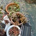 ランキングキーワードに紐づく投稿画像-多肉植物