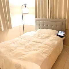 決まりました❗️明日9日まで引き取り可能な方！一枚目の写真の羽毛...