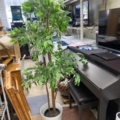 FEJKA フェイカ IKEA 人工観葉植物, 室内/屋外用 ベ...