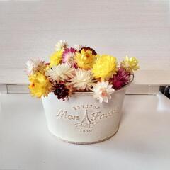 ヘリクリサム　ドライフラワーセット★花材　リース　ハーバリウム★...