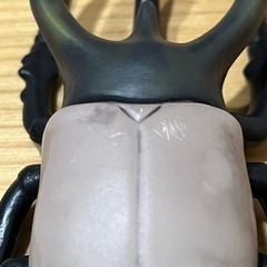 まほうのカブトムシ&クワガタ　かえちゃOh! パイロットの画像
