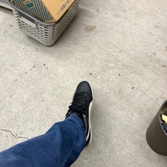 テスト