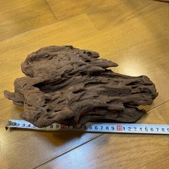 流木