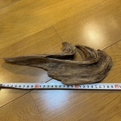 流木