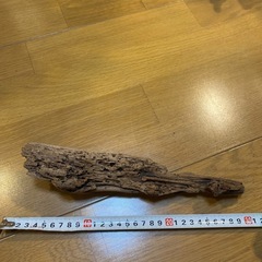 流木