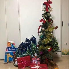 クリスマスツリー
