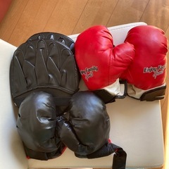 ボクシングセット　子ども用スポーツグッズ
の画像