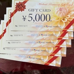 MUSEE PLATINUM ミュゼ 商品券2万5000円分
