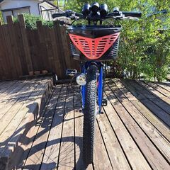 キッズ　自転車　ファントム　22インチの画像