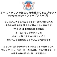 新品未開封　ウィーゴアミーゴ　おくるみの画像