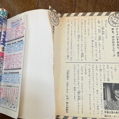 マンガ単行本　魁男塾31巻