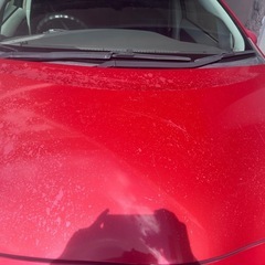 プリウス🚗の画像