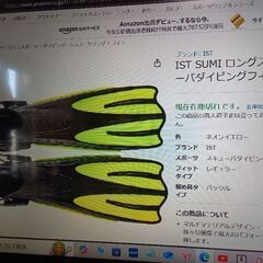 ダイビング　フィン　 IST  sumi  中古品の画像