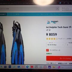 ダイビング　フィン　 IST  sumi  中古品の画像