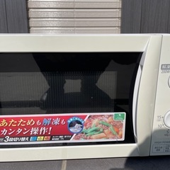  再投稿　
アイリスオーヤマ　電子レンジ