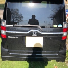 本日のみの画像