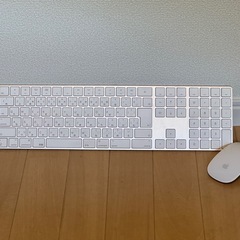 Apple Magic Keyboard  & mouse