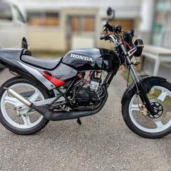 HONDA　NS50F 　ネイキッドカスタム　引取に来ていただける方の画像