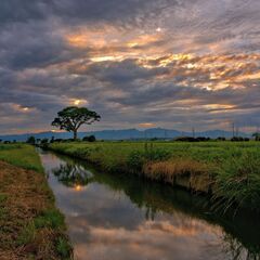 友情を募集する − 愛知県