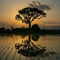 友情を募集する - 友達