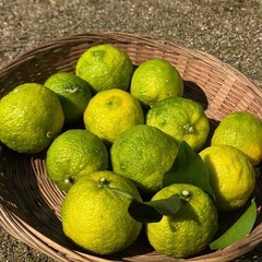 ゆず　　野菜　