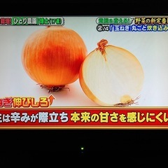 ■DXアンテナ 22型 液晶テレビ■LVW-224T 2010年製 22インチ■純正リモコン 船井電機 小型テレビの画像