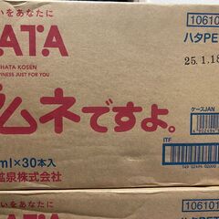【再値下げ！】 未開封！HATA　ハタ鉱泉　ラムネ　飲料　250ml　ペット容器の画像