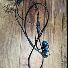 SE215 定価12000