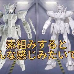 【ガンプラ】1/144スケールガンダムケストレル＆Ｗガンダムゼロ...