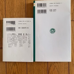 シェルパ斉藤の本二冊の画像