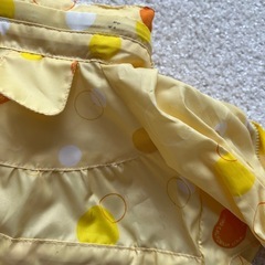 💝ペット服　レインコート　訳あり　サイズ1の画像