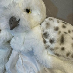 ハリーポッター　ヘドウィグの画像