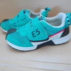 E5はやぶさ 靴の画像