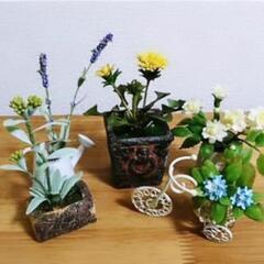 🍀樹脂粘土教室🍀の画像