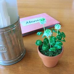 🍀樹脂粘土教室🍀の画像
