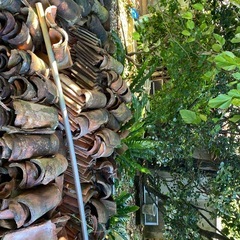 赤瓦大量にありますの画像