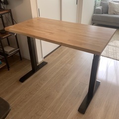 【値下可】Flexispot EJ2 天板付き 36*650*1250mm 