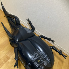 浮き輪 ヘラクレスオオカブトの画像
