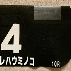JRAレース使用ゼッケン