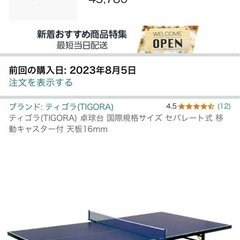 卓球台国際規格スポーツBARやご自宅でもの画像