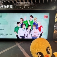 StrayKids🤍STAY会メンバー募集 - 新宿区