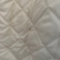 もふもふ アウター
の画像