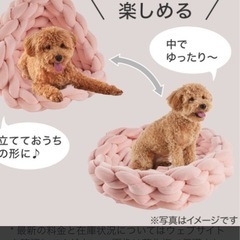 ニトリ　犬　猫　寝具　編みベット　ベットの画像
