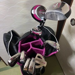 【11/4まで限定価格】WORLD EAGLEクラブ&Callaway&シューズボールセットの画像
