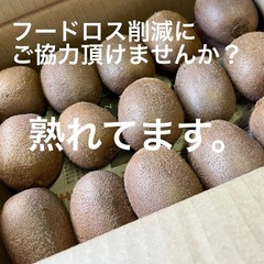 キウイフルーツ(11/4夜受渡済)