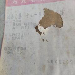 ばんこ焼　一人用土鍋の画像