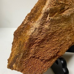 珪化木石　天然石　水石　木の化石　標本　インテリア　飾物　約1280gの画像