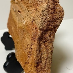 珪化木石　天然石　水石　木の化石　標本　インテリア　飾物　約1280gの画像