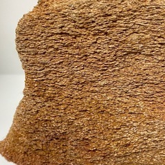 珪化木石　天然石　水石　木の化石　標本　インテリア　飾物　約1280gの画像