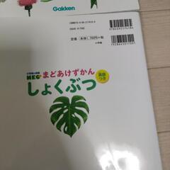 ふれあいしぜん図鑑　しょくぶつ図鑑の画像